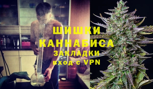 ГАЛЛЮЦИНОГЕННЫЕ ГРИБЫ Алексин