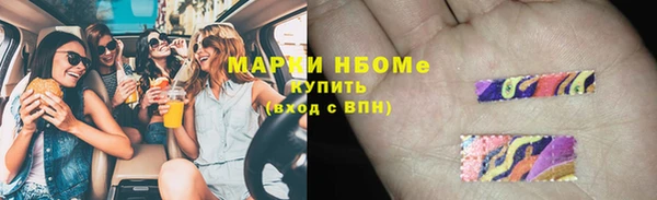 индика Арсеньев