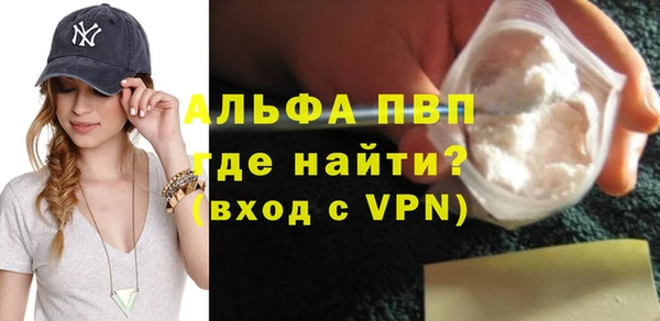 индика Арсеньев