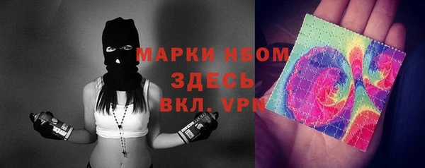 индика Арсеньев