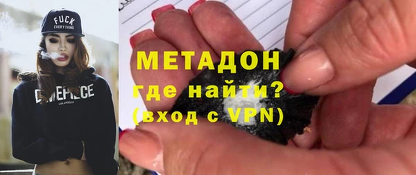 индика Арсеньев