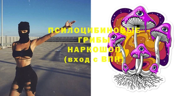 индика Арсеньев