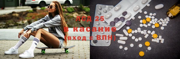 индика Арсеньев